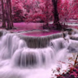 Meet your Posher, Aubrey